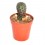 Cactus y crasa (maceta 5,5 cm ø) variado