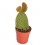 Cactus y crasa (maceta 5,5 cm ø) variado