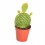 Cactus y crasa (maceta 5,5 cm ø) variado