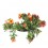Calibrachoa (maceta 13cm Ø)