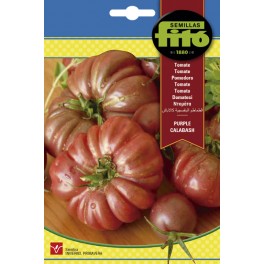 Semilla tomate Purple Calabash