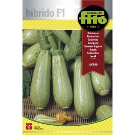 Semilla Calabacín Lucero (híbrida)