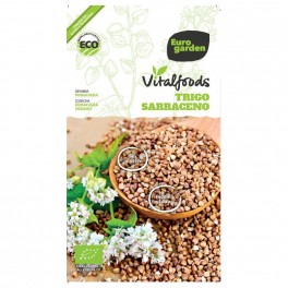 Semente de Trigo Sarraceno Vitalfoods