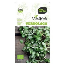 Semente Beldroega Vitalfoods