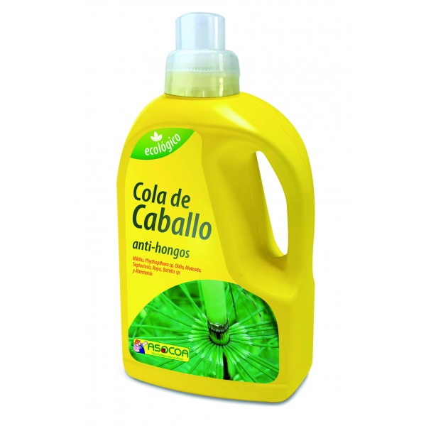 Rabo de cavalo Asocoa (1 litro) (organico)