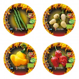 Pack 3 Pimento picante (vaso de 10,5 cm Ø)