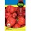 Semente de pimenta Habanero vermelho