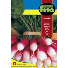 Semente de Rabanete 18 dias