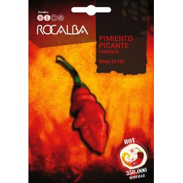 Llavor aromàtica Cilantre