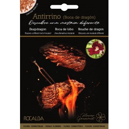 Llavor aromàtica Cilantre