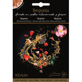 Llavor begònia - llimonada i fresca