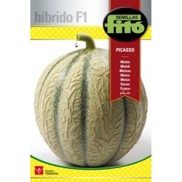 Semente de melão amarelo Canari