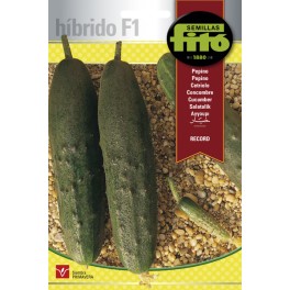 Semilla Pepino Record F1 (híbrida)