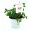 Menta