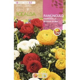 Bulbo de ranúnculo o francesilla a granel