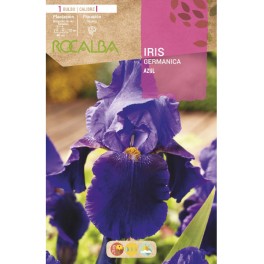 Bulbo de Iris Germanica a granel (escoge color)