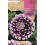 Bulb de dalia a granel Rocalba (unitat)