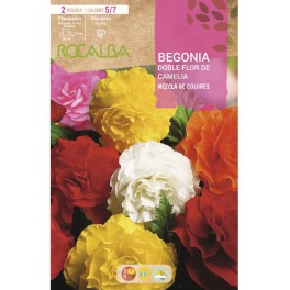 Bulb de begònia doble flor de camèlia a granel (escull color)