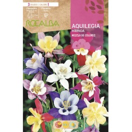 Bulb d'Aquilegia Rocalba (bossa 3 unitats)