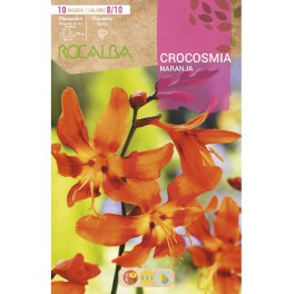 Bulb de Crocosma carbassa (25 unitats) Rocalba