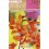 Bulb de Crocosma carbassa (25 unitats) Rocalba