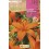 Bulbo de lilium a granel (escoge colores)