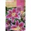 Bulbo de lilium a granel (escoge colores)