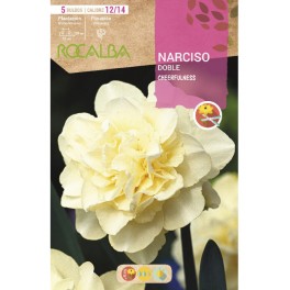 Bulbo de narciso doble a granel (unidad)