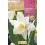 Bulbo de narciso trompeta (unidade)