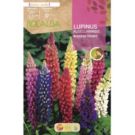 Bulbo Lupinus variado (3 unidades) Rocalba