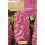 Bulb de jacint a granel (unitat)
