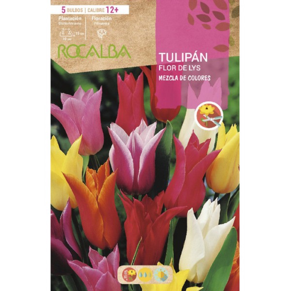 Bulbo de tulipán flor de lys variado (bolsa 5 unidades) - Germigarden