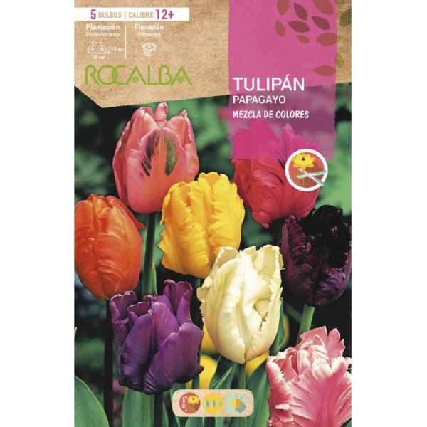 Bulbo de tulipán papagayo variado (bolsa 5 unidades) - Germigarden