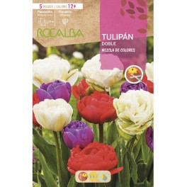 Bulbo de tulipán Rocalba (unidad)