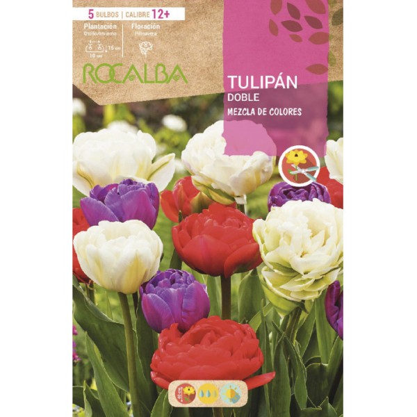 Bulbo de tulipán doble variado (bolsa 5 unidades) - Germigarden