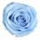 Rosa preservada azul claro