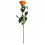 Rosa preservada naranja