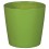 Test petit Kaktus