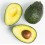 Aguacate ( 100-125 cm)