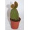 Cactus (maceta 5,5 cm ø)