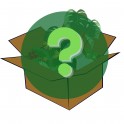 GermiBox anual: caixa sorpresa de plantes i accessoris