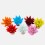 Echeveria puntes pintades variades (test 5 cm ø)