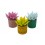 Cactus Echeveria (test 12 cm ø)