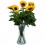 Flor Girassol