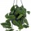 Potos pictum (test 14 cm Ø)