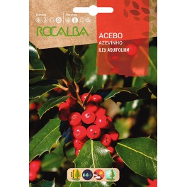 Llavor grevol (ilex)