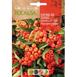 Semente Firethorn (pyracantha coccinea)