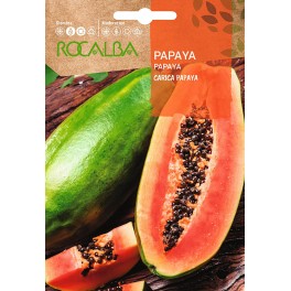 Llavor aromàtica Cilantre