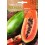 Llavor aromàtica Cilantre