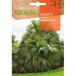 Semilla Palmito (chamaerops humilis)